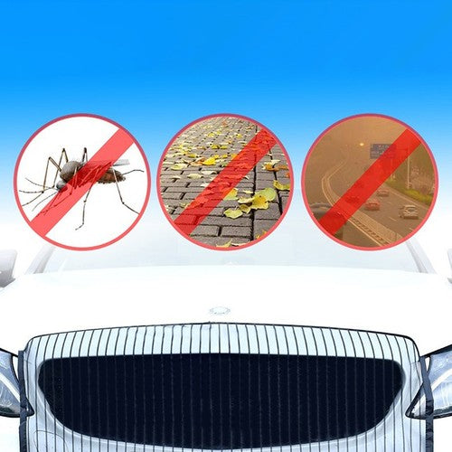 Car Radiator Protection